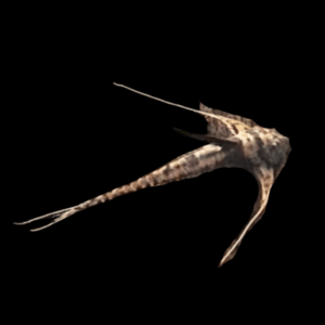 Whiptail Catfish (> 10 Cm)